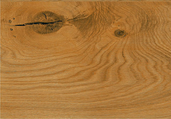 PALMETTO WALNUT