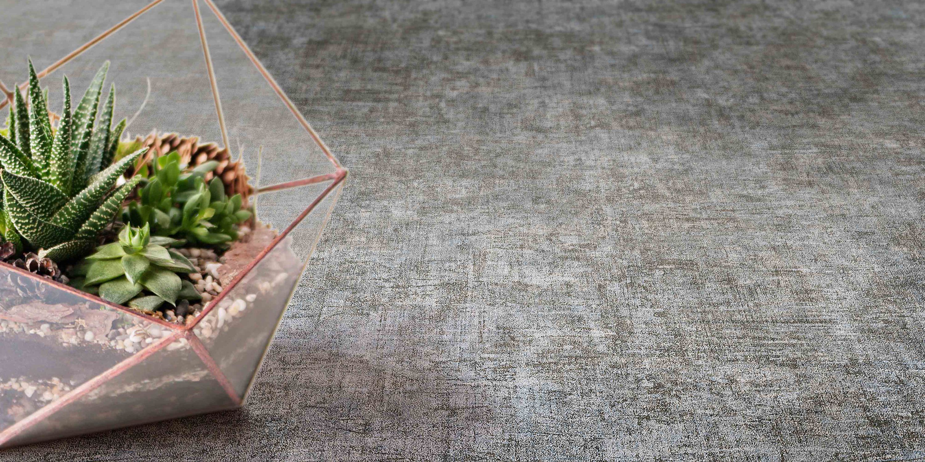 SHIFU TE07A1124_DAV02